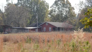 The red Barnett-Attwood House behind a field of tall autumn grass in New Edinburg, Cleveland County, Arkansas.