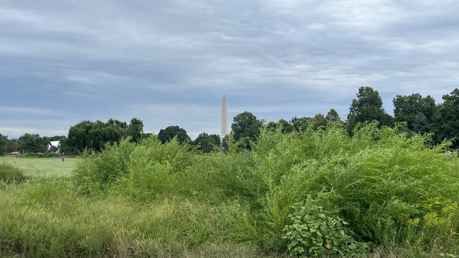 The Washington Monument rises behind trees and tall overgrown brush at the East Potomac Golf Links in Washington, D.C.