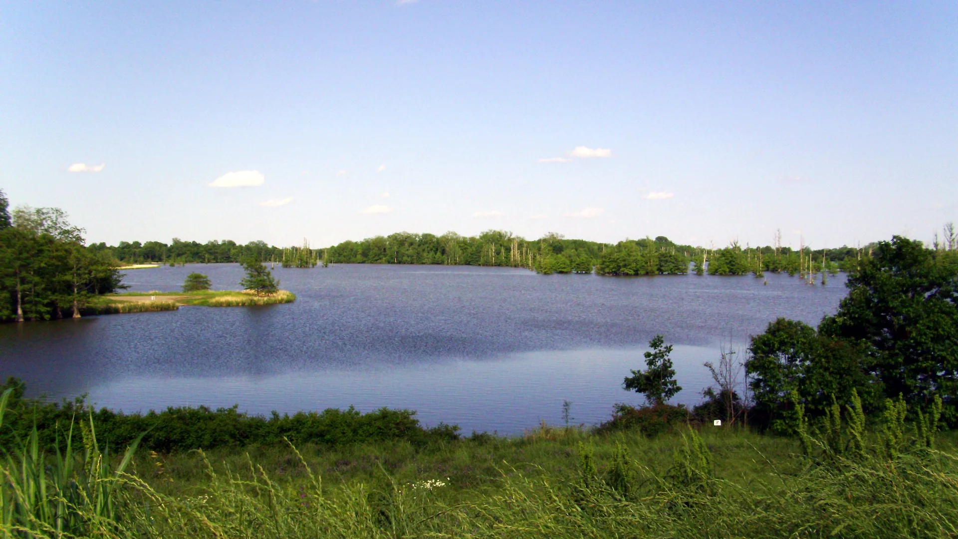 Mud Lake near the Arkansas River in Desha County, ringed by trees under a blue sky.