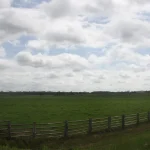 A green pasture with a wire fence under a cloudy sky in Drew County, Arkansas.