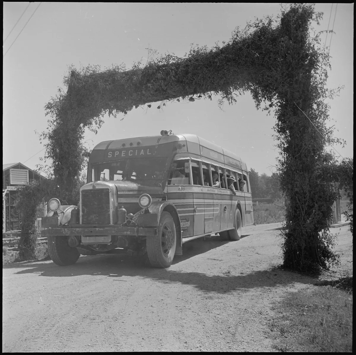 A bus marked Special drives under a vine-covered arch on a dirt road.