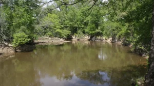 File photo: the Saline River at Jenkins Ferry in Grant County, upstream of Warren.
