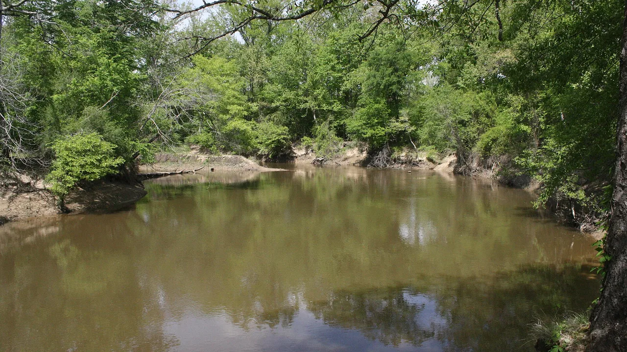 Bend in the Saline River with brown water, sandy banks and green trees at Jenkins Ferry Battleground State Park in Grant County, Arkansas