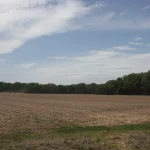 A bare, freshly plowed farm field along Ashley County Road 104 with the Bayou Bartholomew tree line in the background under a partly cloudy sky