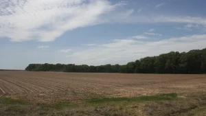 A bare, freshly plowed farm field along Ashley County Road 104 with the Bayou Bartholomew tree line in the background under a partly cloudy sky