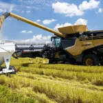 A combine unloads freshly harvested rice into a grain cart in a rice field near Stuttgart, Arkansas, in August 2020.