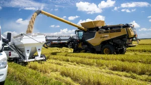 A combine unloads freshly harvested rice into a grain cart in a rice field near Stuttgart, Arkansas, in August 2020.
