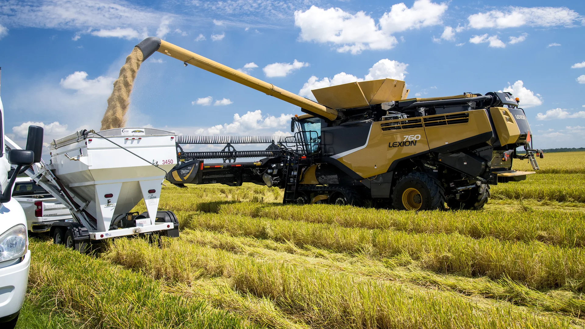 A combine unloads freshly harvested rice into a grain cart in a rice field near Stuttgart, Arkansas, in August 2020.
