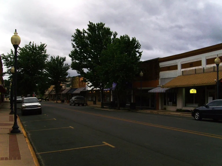 A downtown Warren street with angled parking, street lamps and trees, and a row of one- and two-story storefronts with awnings on the right.