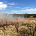 Flames and white smoke from a controlled burn move across a dry grass field under a blue sky.