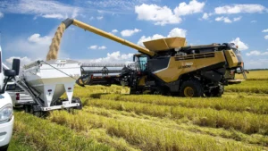 A combine harvesting rice in a golden field and unloading into a grain cart in Arkansas.