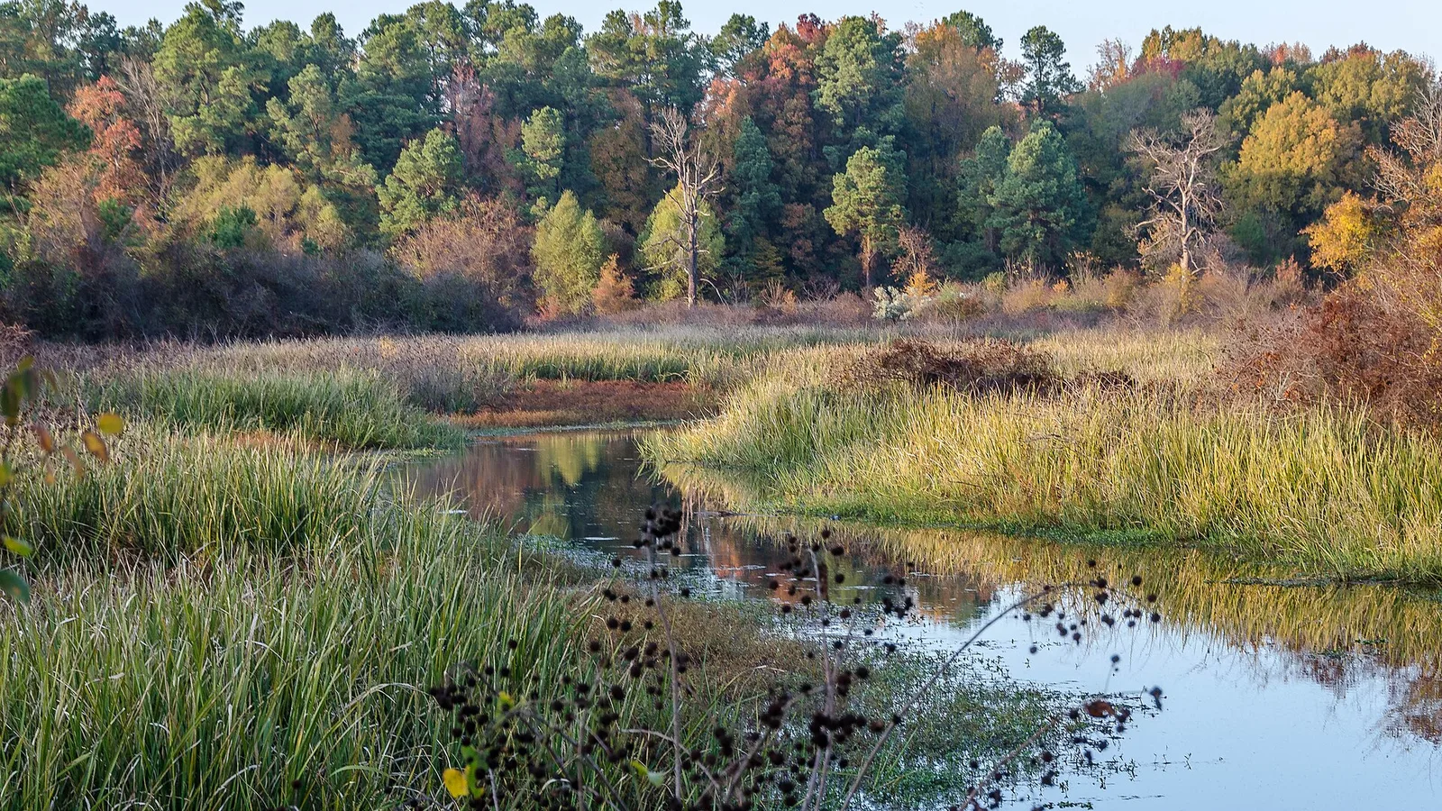 Bayou Bartholomew near Pine Bluff, Arkansas, in autumn, with still water reflecting orange and yellow trees.